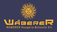 waberer logo